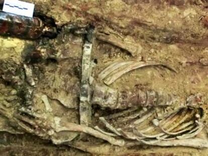 Uno de los esqueletos hallados en la fosa con una botella y un papel con el nombre en el interior facilitada por el grupo Paleolab.