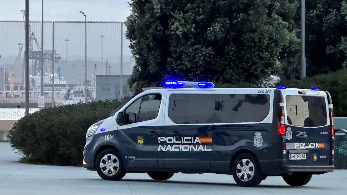 Un juzgado de Málaga decreta prisión provisional para tres hombres por violar a una chica de 18 años en un descampado en Málaga | Sociedad