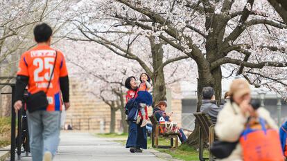 Custodia compartida en Japón
