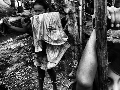 Un campamento de familias desplazadas en la zona norte de Sinaloa.