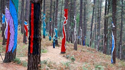 Bosques españoles que miran a la costa norte