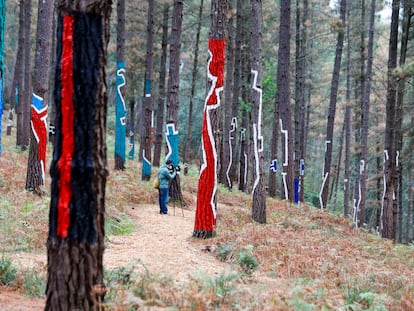 El bosque de Oma, que a mediados del los años ochenta Agustín Ibarrola pintó cerca de su casa, en Kortezubi (Bizkaia), ha vuelto a recuperar el color y la vitalidad perdida.