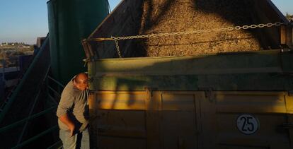 Un agricultor en Jaen, Andalucia.