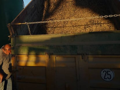 Un agricultor en Jaen, Andalucia.