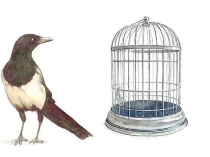 ¿Es posible bajar los impuestos?