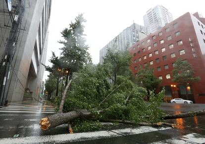 Uma árvore caída bloqueia um cruzamento em Osaka por causa dos fortes ventos do furacão Jebi, no Japão.