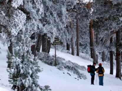 Camino Schmidt, entre Navacerrada y el Valle de Fuenfr&iacute;a.