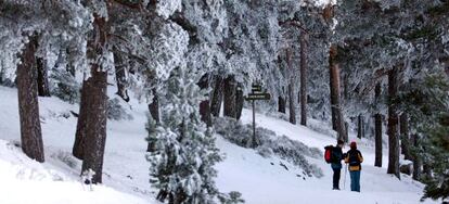 Camino Schmidt, entre Navacerrada y el Valle de Fuenfr&iacute;a.