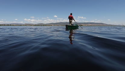 El agua vuelve a cubrir las Tablas de Daimiel, en las confluencia de los ríos Guadiana, de aguas dulces y carácter permanente, y el Cigüela, de aguas saladas y carácter estacional.