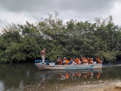 Un bote turístico surca los manglares de Tumbes.