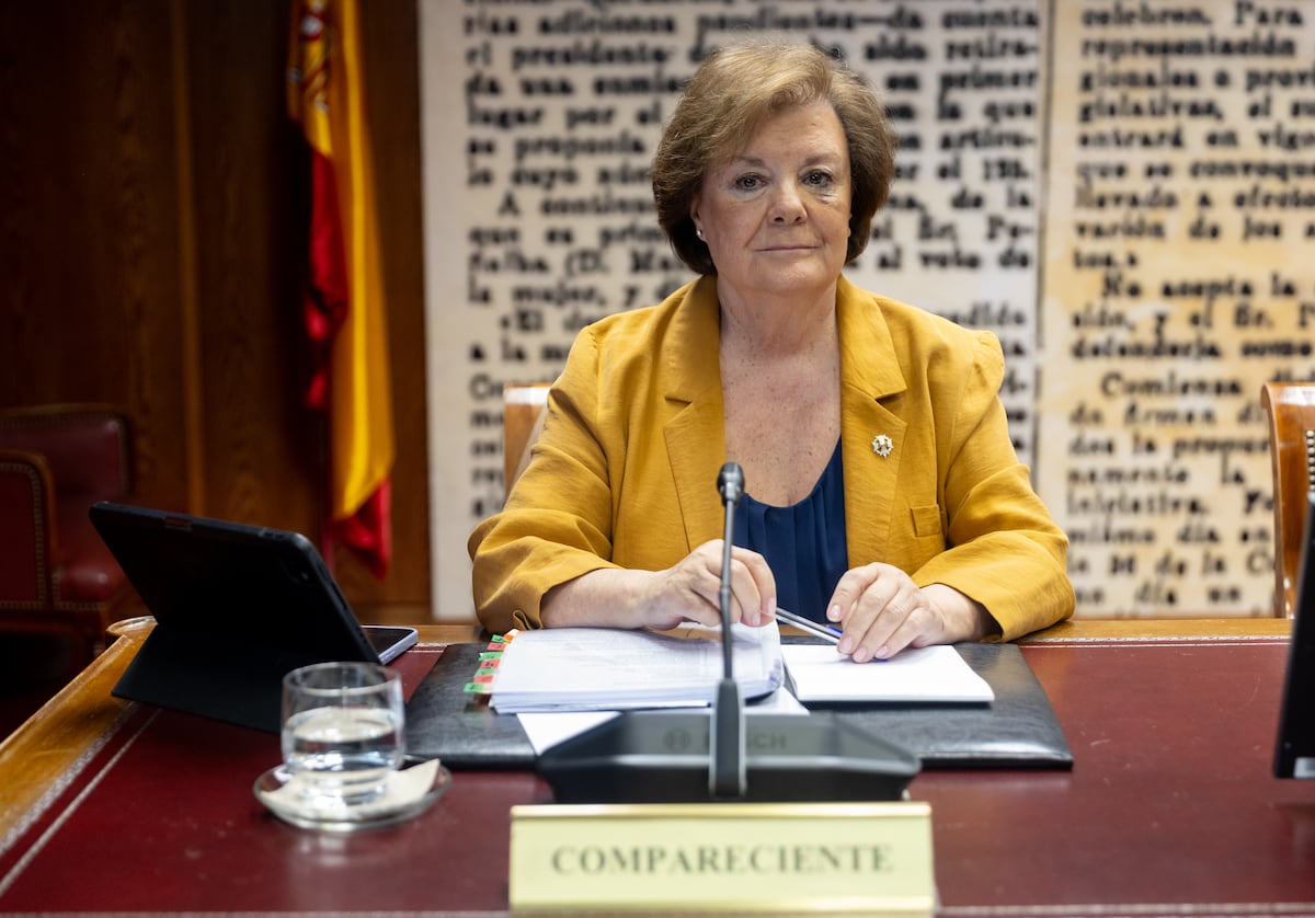 La presidenta del Tribunal de Cuentas, en el Senado: “Por lo que dice nuestro informe, le diré que no hay caja B en el PSOE”