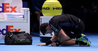 Carreño se duele después de caerse ante Dimitrov.