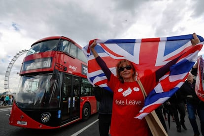 A Brexit supporter outside Westminster.