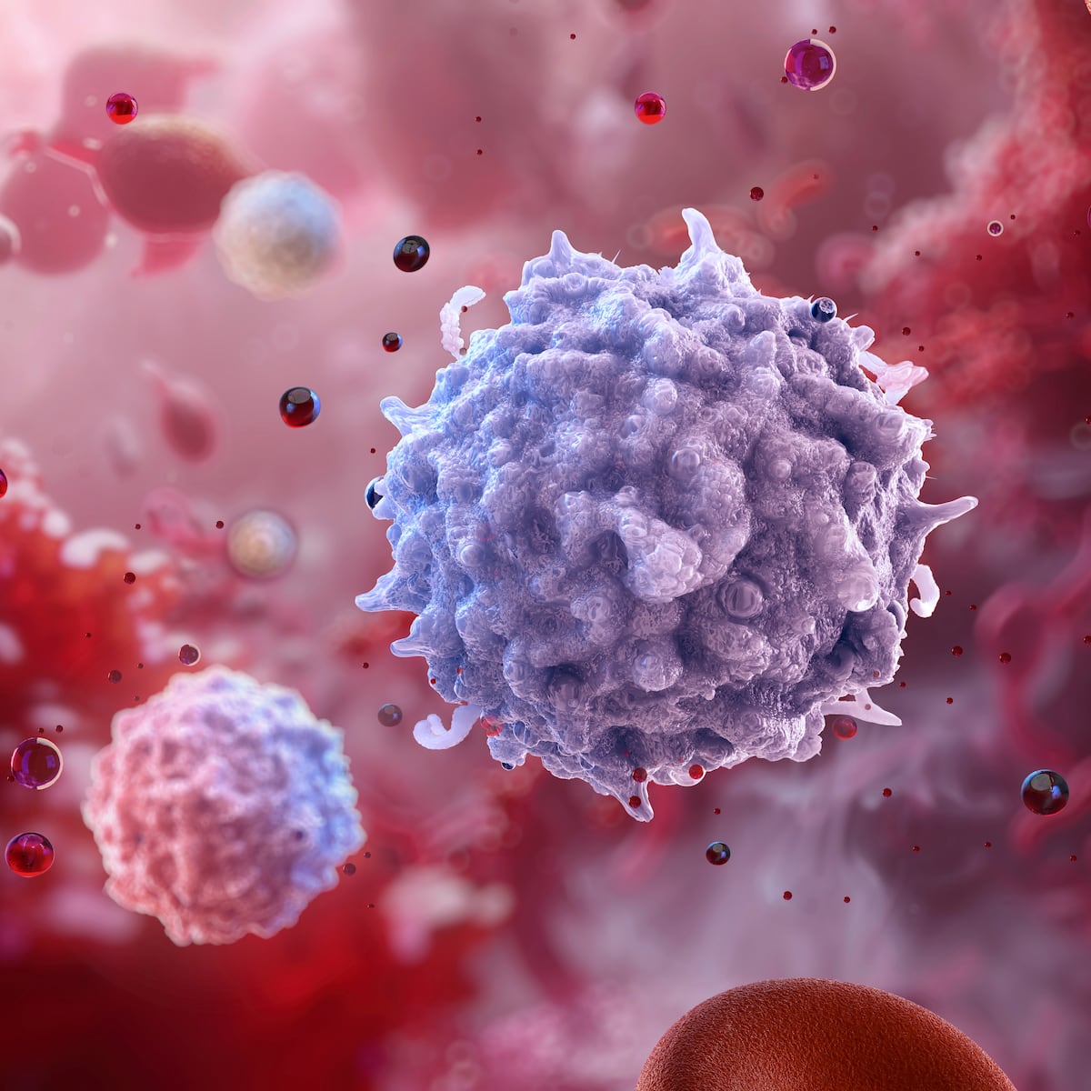 El Nobel de Medicina premia a los descubridores de las células que evitan  que el cuerpo se ataque a sí mismo | El PAÍS Exprés | EL PAÍS