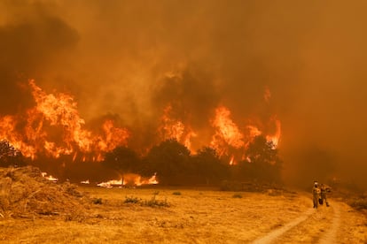 Los bomberos trabajaban ayer en la extinción del incendio en Santa Baia de Montes (Ourense).