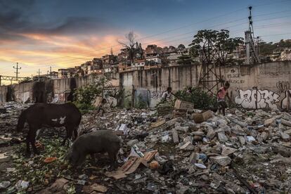 Varios niños juegan en un montón de basura en la favela Vila do Metrô, Mangueira, Río de Janeiro, Brasil.