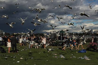 MELBOURNE, AUSTRALIA - NOVEMBER 01: Racegoers leave the course as seagulls hover overhead following 2016 Melbourne Cup Day at Flemington Racecourse on November 1, 2016 in Melbourne, Australia. (Photo by Scott Barbour/Getty Images)