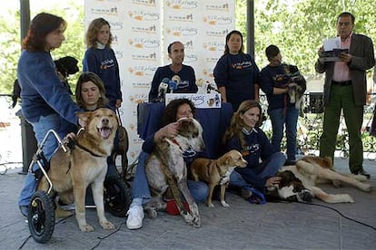 Miembros de El Refugio, con varios perros maltratados.