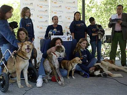Miembros de El Refugio, con varios perros maltratados.