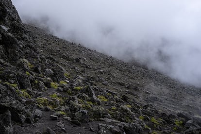 El aumento de las temperaturas debido al cambio climático ha llevado a la rápida desaparición de los glaciares de todo el mundo. En el Iztaccíhuatl, estas masas de hielo llegaron a ocupar 6,23 kilómetros cuadrados en 1850, pero ahora no superan los 0,5 kilómetros. En solo 170 años, la montaña ha perdido el 98% del hielo que guardaba desde la glaciación de hace 9.000 años.