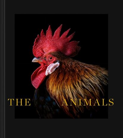 portada libro 'The Animals', ESTELA DE CASTRO. EDITORIAL LA FÁBRICA