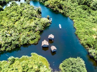 Una barca navegando por uno de los canales del parque nacional La Tovara, en San Blas (México).