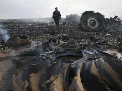 Lugar del siniestro del vuelo MH17, en la provincia de Donetsk (Ucrania). 