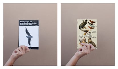 Detalle de 'How to mix an emotional ornithology with visual arts', 2019.