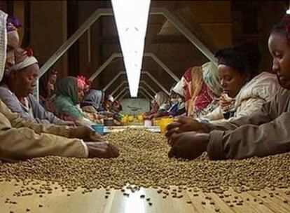 Trabajadores etíopes, en un fotograma de <i>Oro negro.</i>