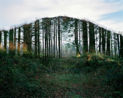 Bosque de Duault, en la Bretaña francesa. 