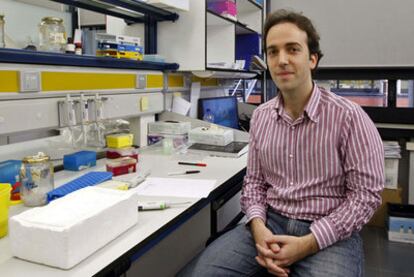 El investigador Rafael Sanjuan, en el laboratorio del Instituto Cavanilles de Biodiversidad de la Universitat de València.