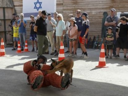 Miles de extranjeros visitan campos de tiro gestionados por exmilitares israelíes para vivir la experiencia del fuego real con fusiles de asalto