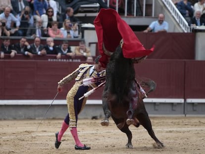 Iv&aacute;n Fandi&ntilde;o, ayer en Las Ventas. 