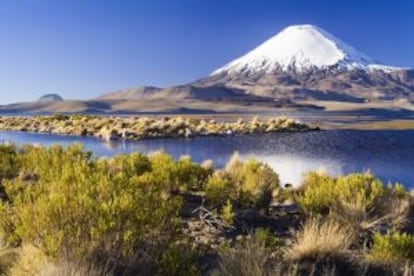 Vista del volcán Parinacota, en el altiplano chileno, al norte del país.