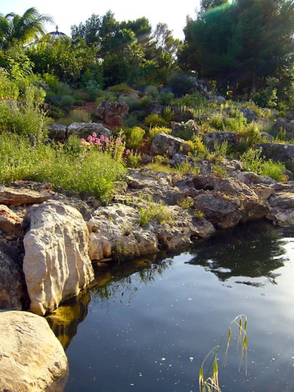 En L'Albarda también hay un lugar para la jardinería más silvestre.