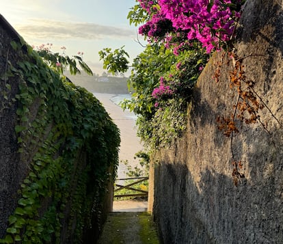 Entrada a la playa de Canelas.