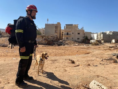 Vídeo | Así trabajan en Libia los perros de rescate de una ONG española