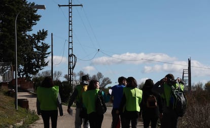 Un grupo de voluntarios de LifeFollowers de la organización SeoBirdlife, en Algete.