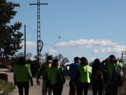 Un grupo de voluntarios de LifeFollowers de la organización SeoBirdlife, en Algete.