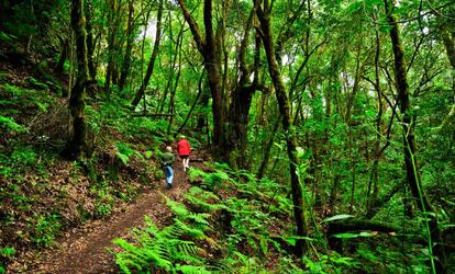 Dos senderistas en el parque nacional de Garajonay, en la isla canaria de La Gomera.