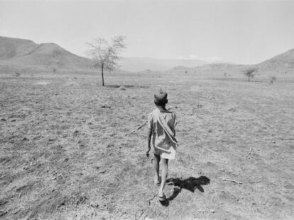 Noviembre de 1984. Un niño camina por los alrededores de Addis Abeba, capital de Etiopía, es busca de sustento.