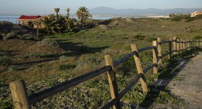 Paraje natural en Marbella donde se van a construir viviendas.