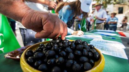 Productores de aceituna en una concentración en Sevilla