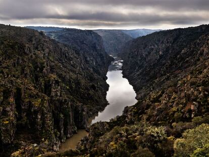 Vista del r&iacute;o Duero desde S&atilde;o Jo&atilde;o das Arribas. En estos parajes los vecinos de Aldeia Nova (Miranda do Douro) celebran procesiones y romer&iacute;as en primavera.