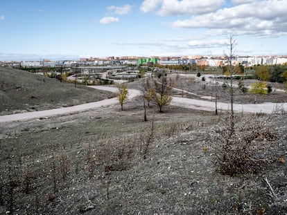 El parque de La Gavia, en Vallecas, este viernes.