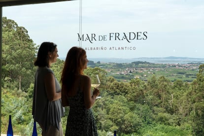 La sala de catas de la bodega Mar de Frades, en Arosa (Pontevedra).