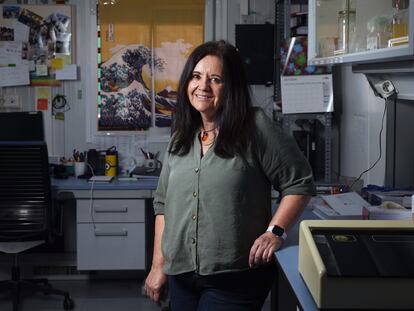 Laura López-Mascaraque, neurocientífica, en el laboratorio del Instituto Ramón y Cajal de Madrid.