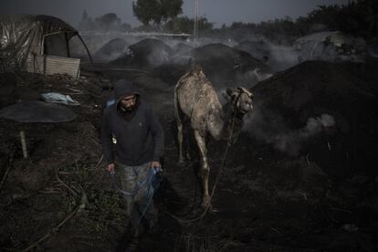 Un trabajador, durante la producción de carbón vegetal en la ciudad de Jabaliya, en el norte de la Franja de Gaza. El Gobierno palestino extendió hasta el mes febrero las restricciones de movimiento entre provincias de Cisjordania, el toque de queda diario y el cierre completo de fin de semana, con el fin de frenar la propagación del coronavirus y a la espera de recibir las primeras vacunas.