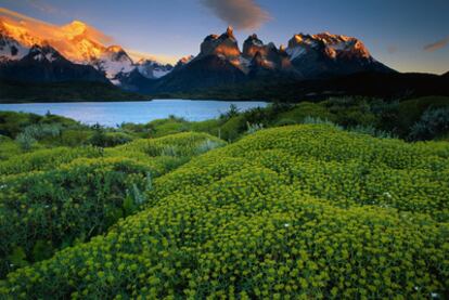 Vista de los Cuernos del Paine, en el parque nacional de Torres del Paine, en Chile.