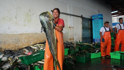 María, trabajadora del desembarcadero de Pucusana, levanta un dorado en medio de la faena.